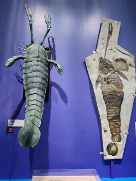 大絶滅展ー生命史のビッグファイブ（名古屋会場）に投稿された画像（2026/3/28）