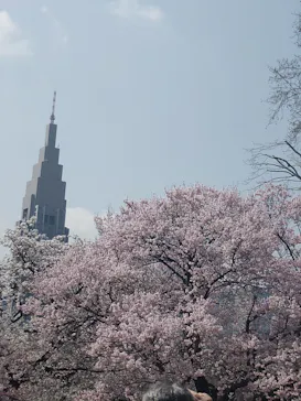 新宿御苑に投稿された画像（2026/3/28）