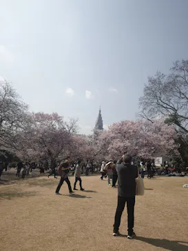 新宿御苑に投稿された画像（2026/3/28）