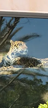 東武動物公園に投稿された画像（2026/3/28）