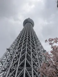 東京スカイツリーに投稿された画像（2026/3/28）