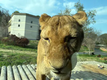 東京動物園協会_多摩動物公園に投稿された画像（2026/3/28）