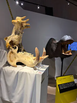 特別展「超危険生物展　科学で挑む生き物の本気」に投稿された画像（2026/3/28）