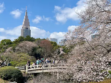 新宿御苑に投稿された画像（2026/3/28）