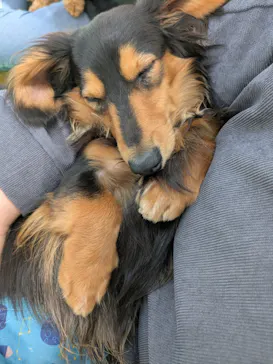 つくばわんわんランドに投稿された画像（2026/3/28）