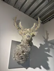 UESHIMA MUSEUMに投稿された画像（2026/3/28）