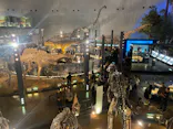 福井県立恐竜博物館に投稿された画像（2026/3/28）