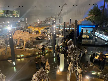 福井県立恐竜博物館に投稿された画像（2026/3/28）