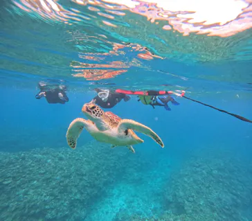 SHISHI石垣島（シシイシガキジマ）に投稿された画像（2026/3/28）