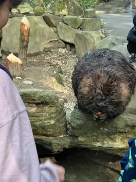 長崎バイオパークに投稿された画像（2026/3/28）