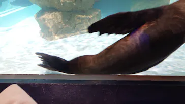 マクセル アクアパーク品川に投稿された画像（2026/3/28）