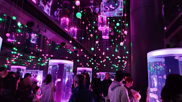 マクセル アクアパーク品川に投稿された画像（2026/3/28）