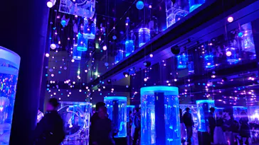 マクセル アクアパーク品川に投稿された画像（2026/3/28）