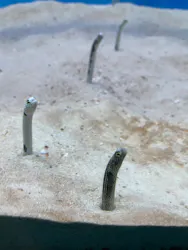 大分マリーンパレス水族館 「うみたまご」に投稿された画像（2026/3/28）