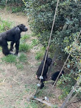 名古屋市東山動植物園に投稿された画像（2026/3/28）
