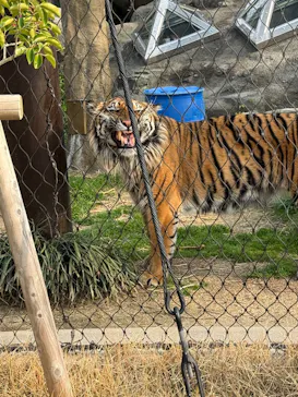 名古屋市東山動植物園に投稿された画像（2026/3/28）