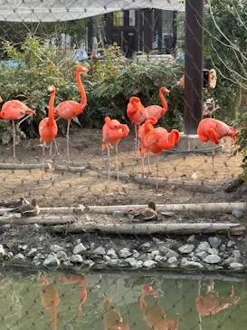 名古屋市東山動植物園に投稿された画像（2026/3/28）