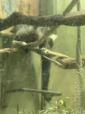 名古屋市東山動植物園に投稿された画像（2026/3/28）