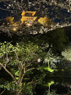 三溪園に投稿された画像（2026/3/28）