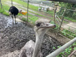 ネオパークオキナワに投稿された画像（2026/3/28）