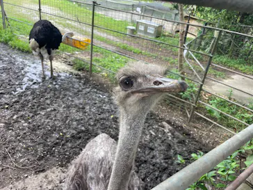 ネオパークオキナワに投稿された画像（2026/3/28）