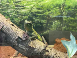 ネオパークオキナワに投稿された画像（2026/3/28）