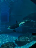 名古屋港水族館に投稿された画像（2026/3/28）