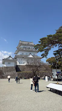 小田原城に投稿された画像（2026/3/28）