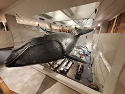 太地町立くじらの博物館に投稿された画像（2026/3/28）