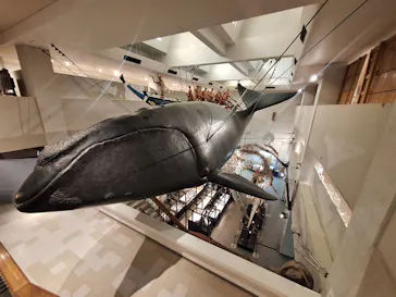 太地町立くじらの博物館に投稿された画像（2026/3/28）