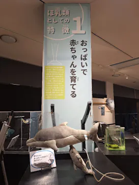 太地町立くじらの博物館に投稿された画像（2026/3/28）