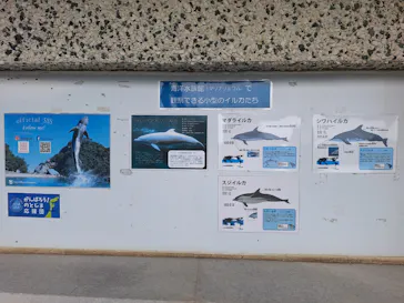太地町立くじらの博物館に投稿された画像（2026/3/28）