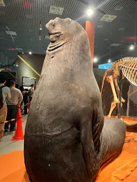 特別展「超危険生物展　科学で挑む生き物の本気」に投稿された画像（2026/3/28）