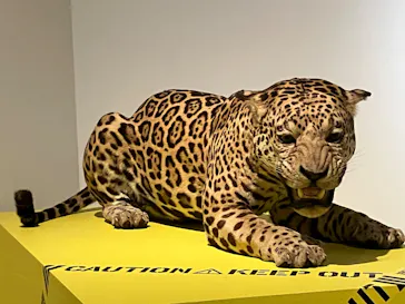 特別展「超危険生物展　科学で挑む生き物の本気」に投稿された画像（2026/3/28）