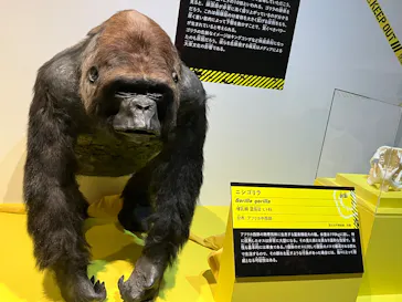 特別展「超危険生物展　科学で挑む生き物の本気」に投稿された画像（2026/3/28）