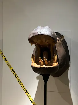 特別展「超危険生物展　科学で挑む生き物の本気」に投稿された画像（2026/3/28）