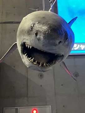 特別展「超危険生物展　科学で挑む生き物の本気」に投稿された画像（2026/3/28）