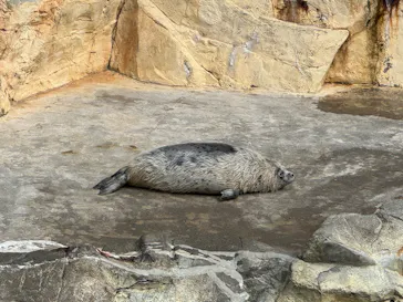 大分マリーンパレス水族館 「うみたまご」に投稿された画像（2026/3/28）