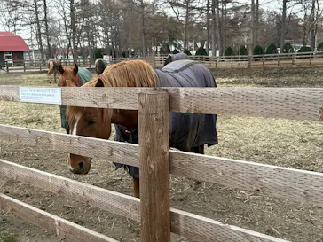 ノーザンホースパークに投稿された画像（2026/3/28）