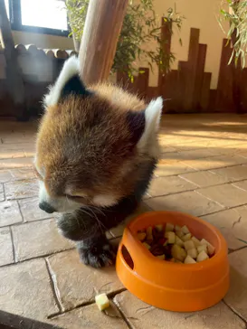 アドベンチャーワールドに投稿された画像（2026/3/28）