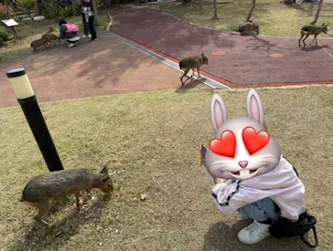 アドベンチャーワールドに投稿された画像（2026/3/28）