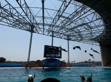 アドベンチャーワールドに投稿された画像（2026/3/28）