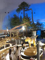 福井県立恐竜博物館に投稿された画像（2026/3/28）