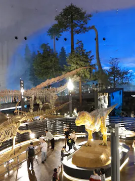 福井県立恐竜博物館に投稿された画像（2026/3/28）
