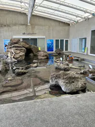 城崎マリンワールドに投稿された画像（2026/3/28）