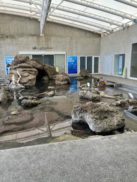 城崎マリンワールドに投稿された画像（2026/3/28）