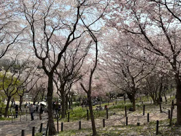 名古屋市東山動植物園に投稿された画像（2026/3/28）