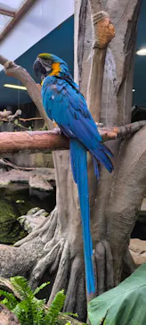 那須どうぶつ王国に投稿された画像（2026/3/28）