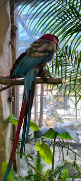 那須どうぶつ王国に投稿された画像（2026/3/28）