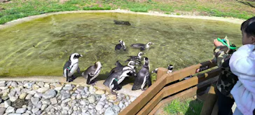 那須どうぶつ王国に投稿された画像（2026/3/28）